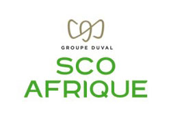 5-logo-sco-afrique